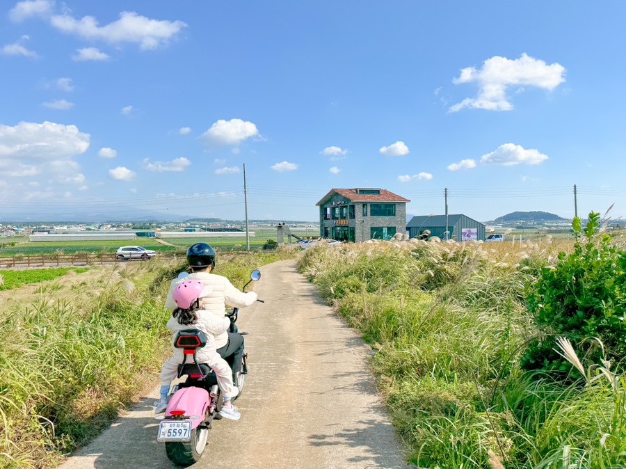 수월봉전기바이크 이미지