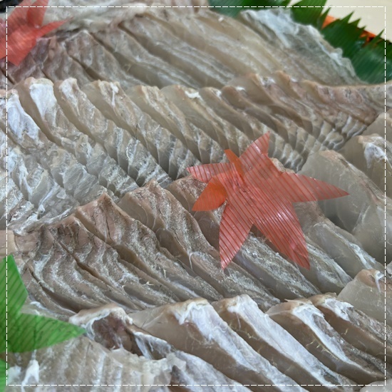 청춘수산 이미지