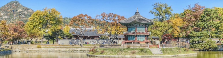 오수만물 이미지