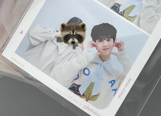 새미새 이미지