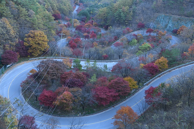 보발재드라이브 이미지