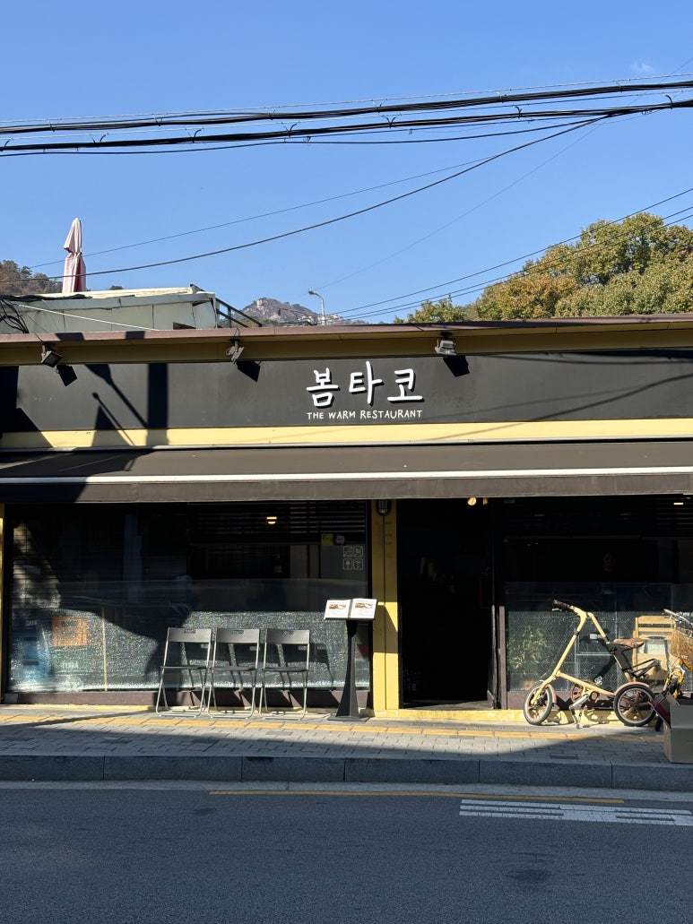 타코,봄 이미지