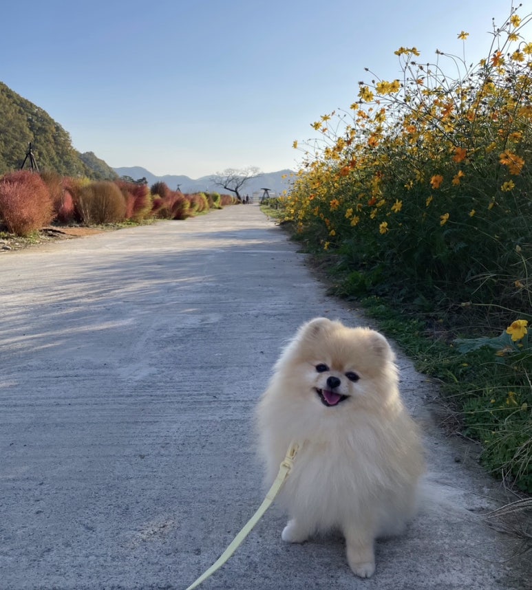 천연애현풍점 이미지