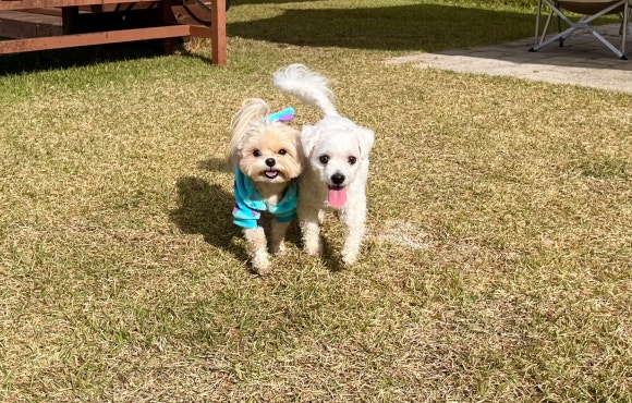 즐거운유치원 이미지
