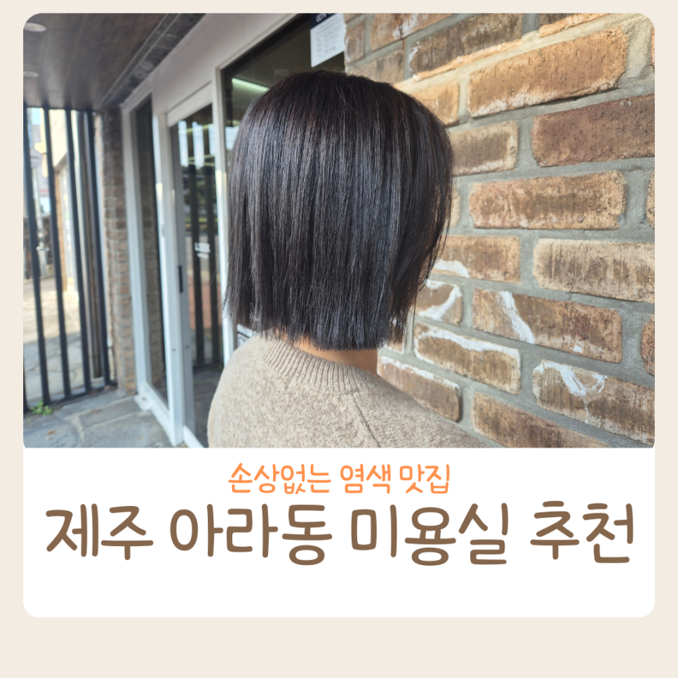 엘시크 이미지