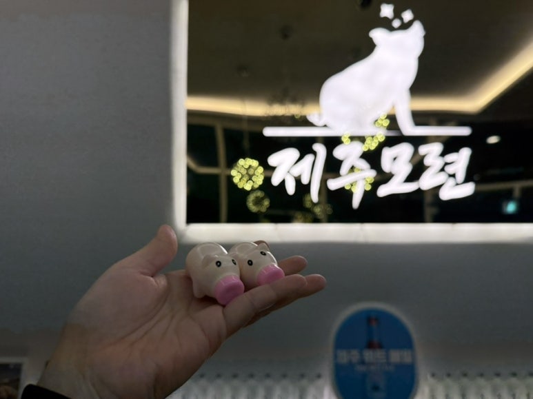 제주모련 이미지