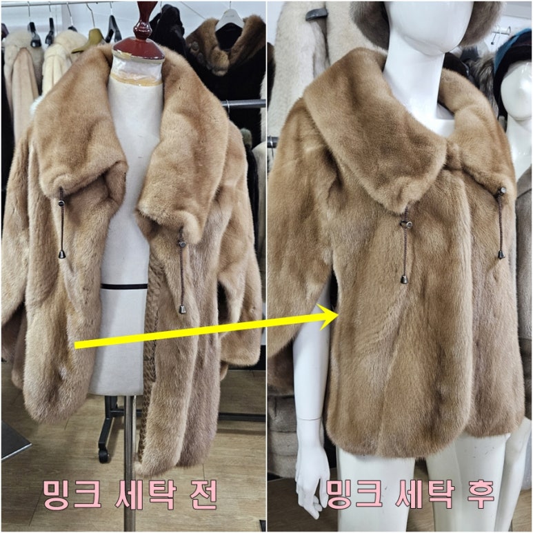 대성안감 이미지