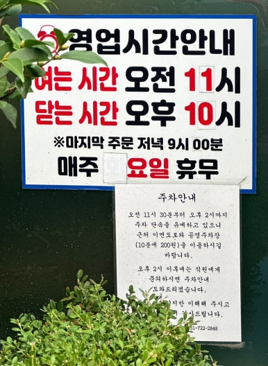 돌산아나고 이미지