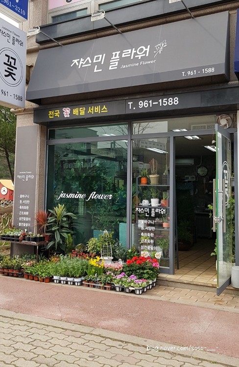 플라워쟈스민 이미지