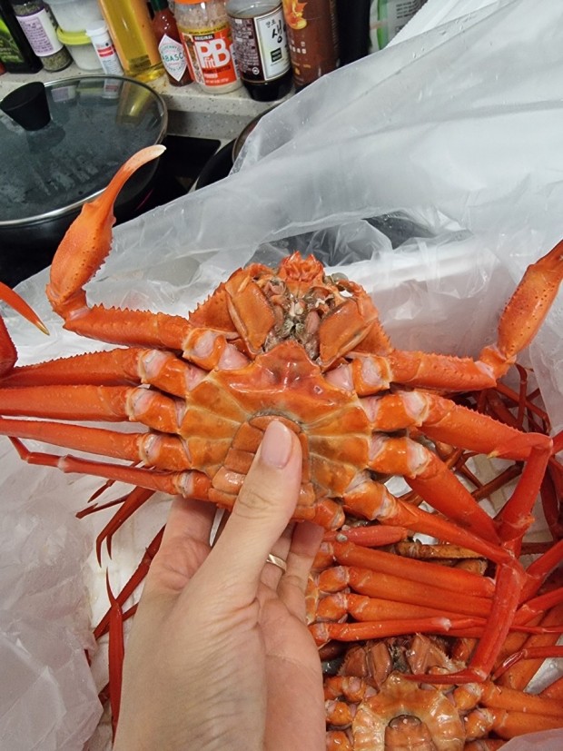 영덕농수산 이미지