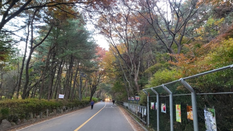 이금옥샤브샤브칼국수 이미지
