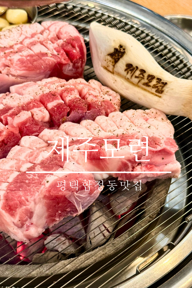 제주모련 이미지