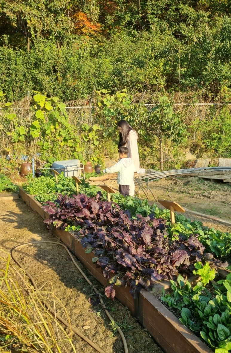 소보담치유농장 이미지