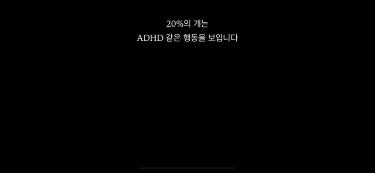 파리친구 이미지