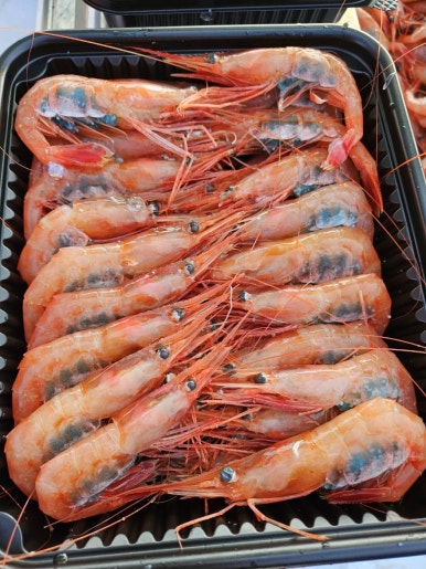 수 농수산 이미지