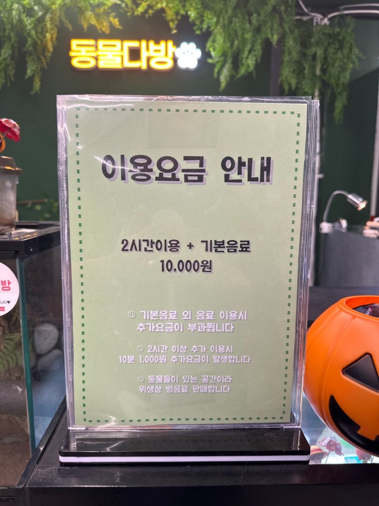 동물다방 이미지