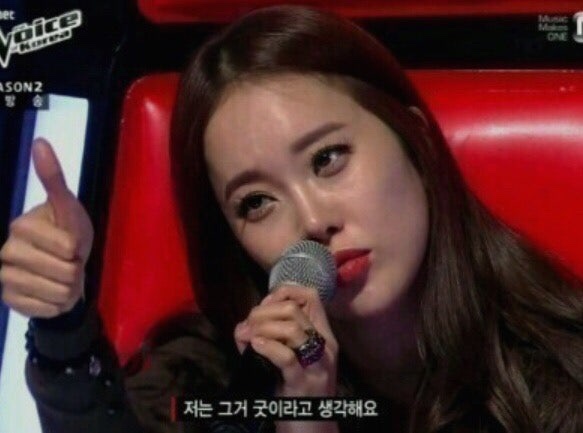 꼬숑 이미지