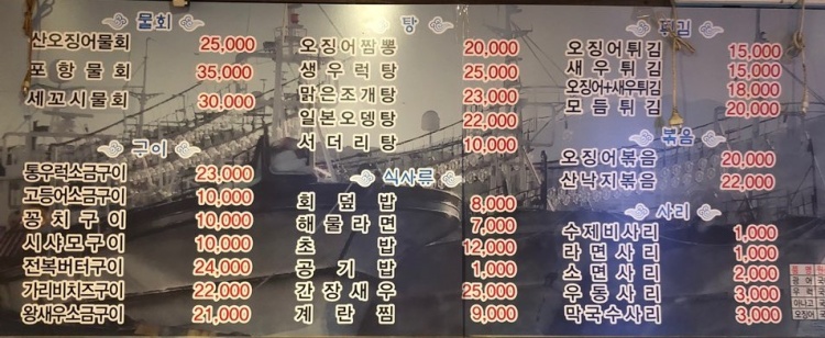오징어세상 이미지