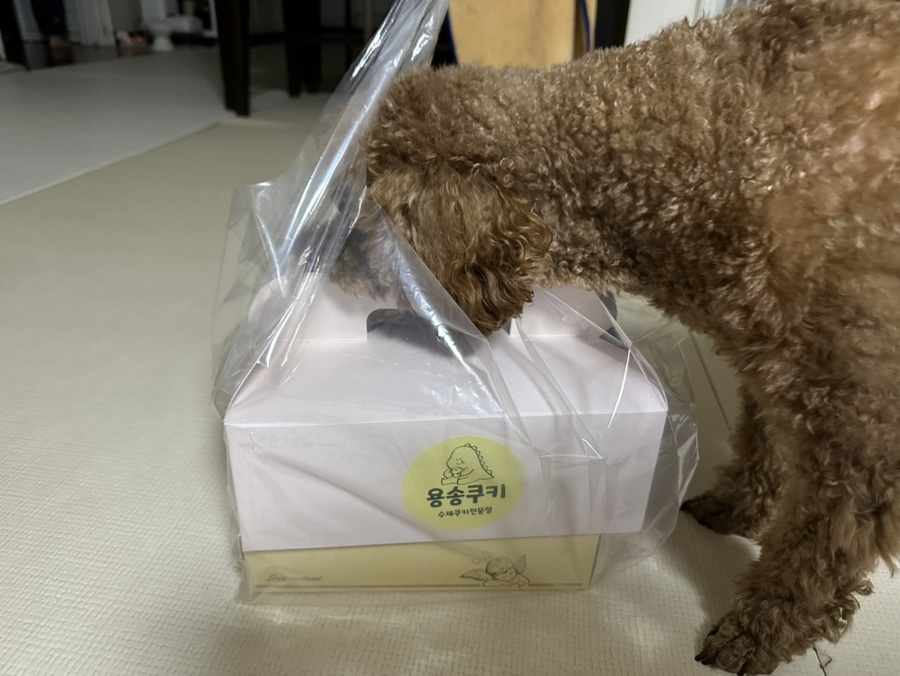 용송쿠키 이미지