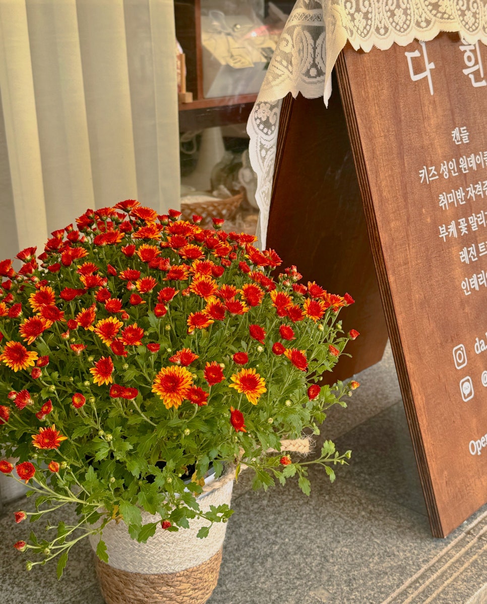 다흰공방 이미지