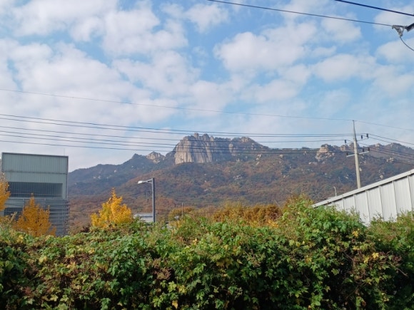 광릉상회 이미지