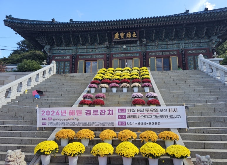 스테이혜원 이미지