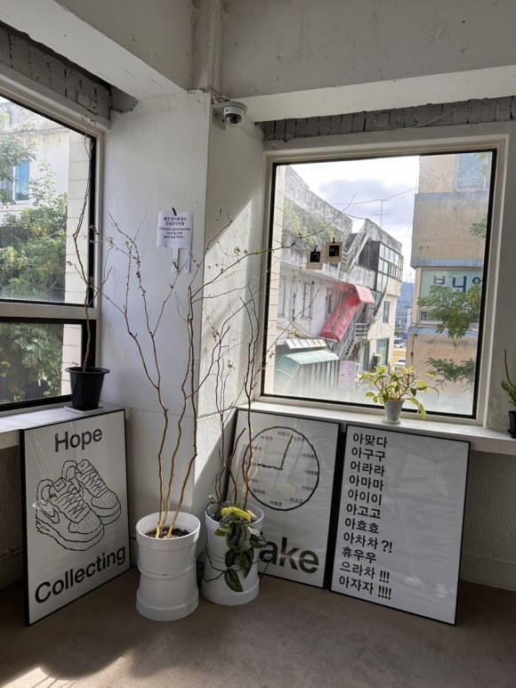 평화와평화;식물상점 이미지