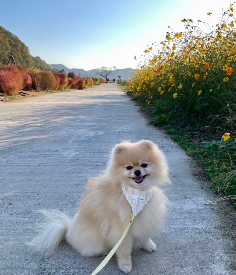 천연애현풍점 이미지