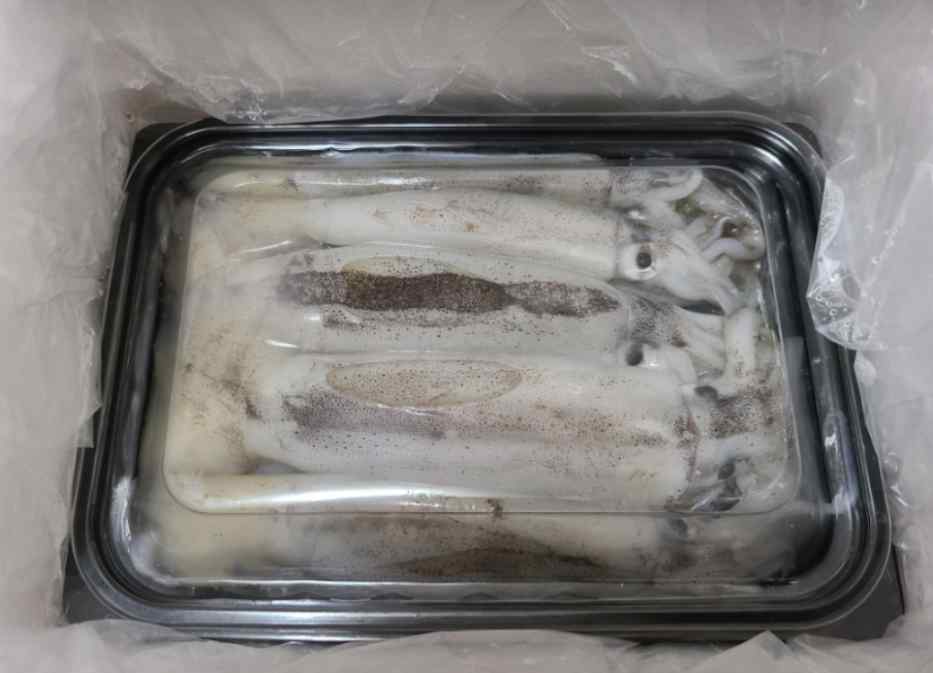 싱싱농수산 이미지