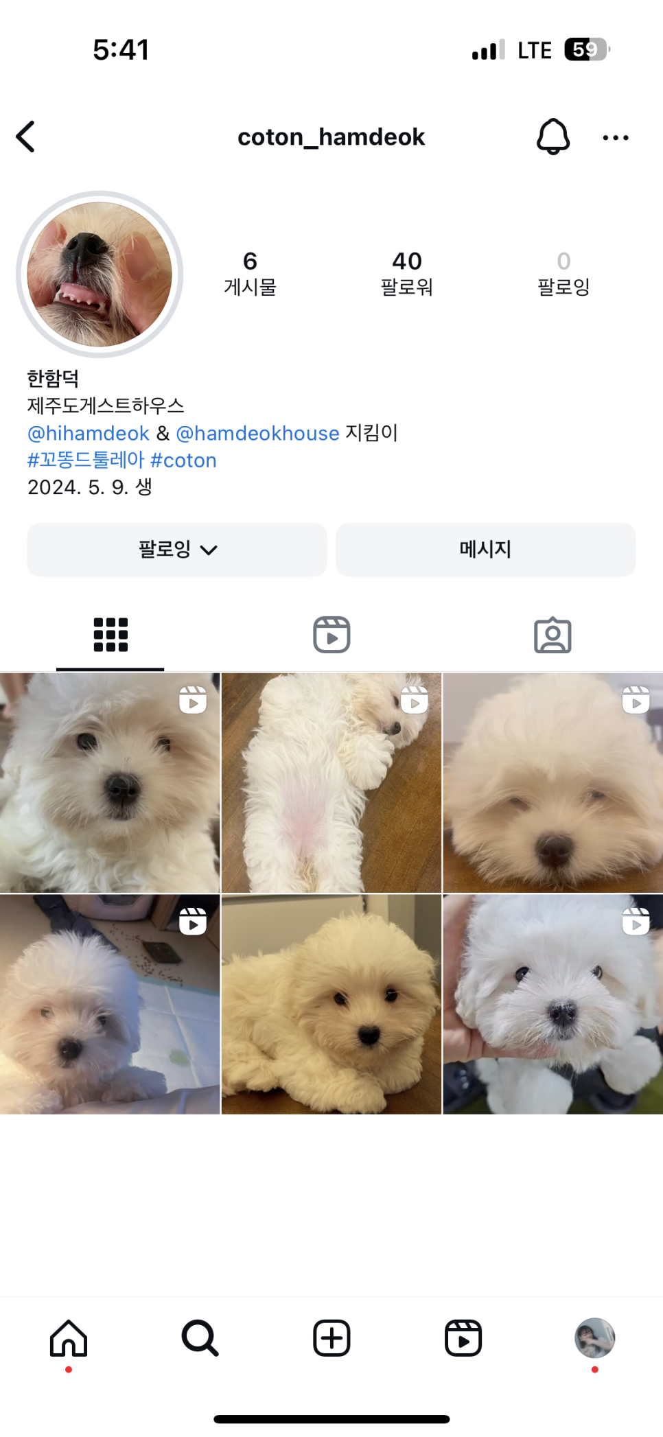 제주도게스트하우스함덕주택 이미지