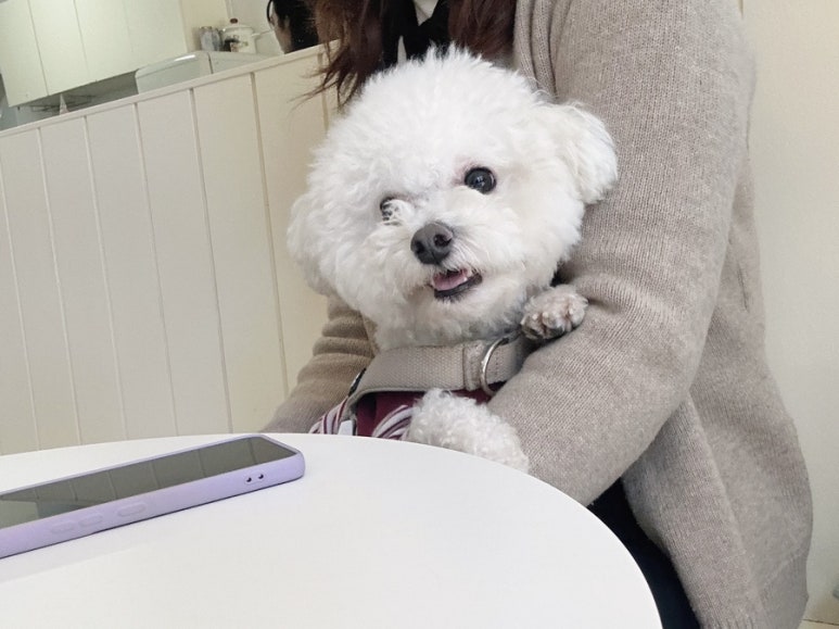 니드스윗 이미지