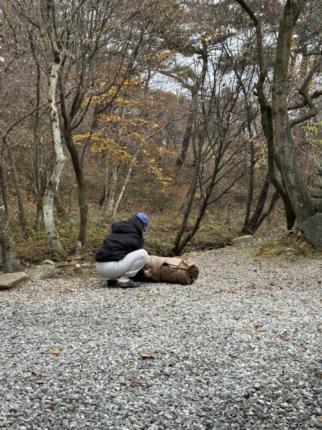 덕동리301캠핑장 이미지