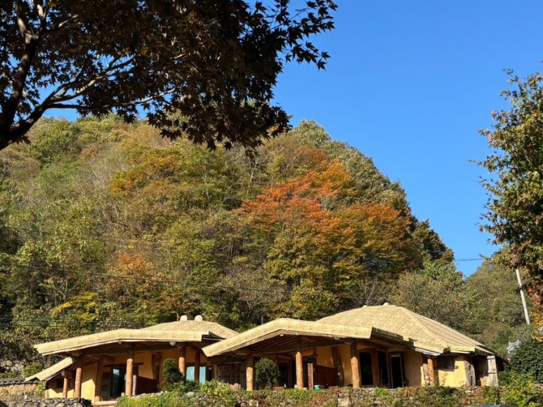 산골매점 이미지