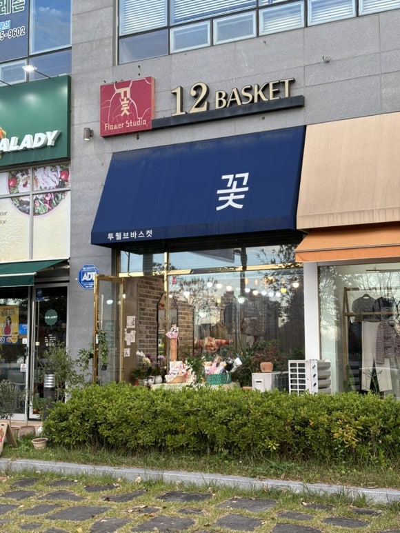 투웰브바스켓 이미지