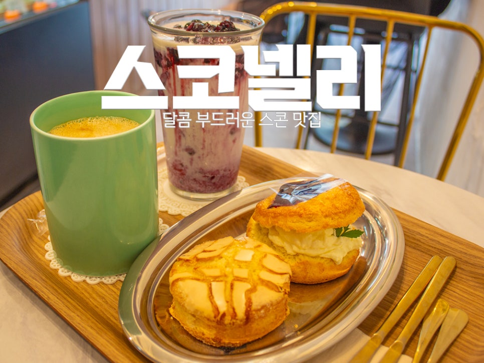 스코넬리 이미지