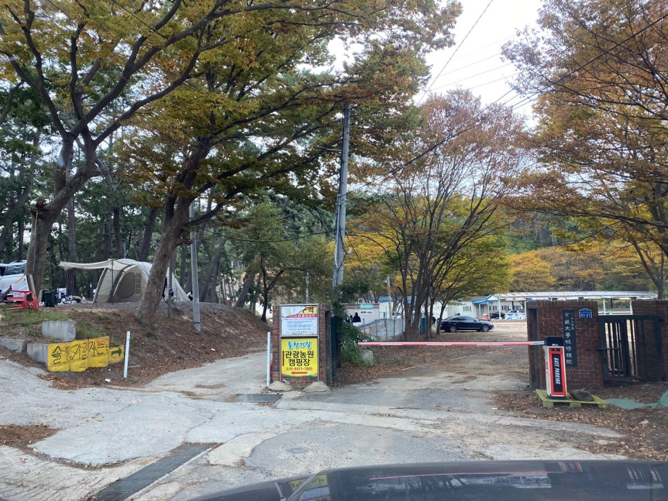 솔향기길야영장 이미지