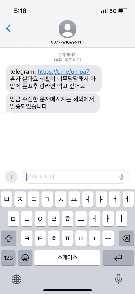 돼지새끼 이미지