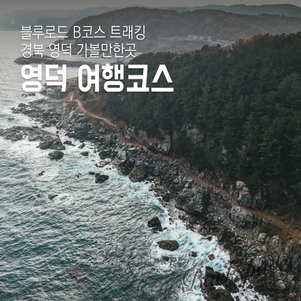 다람쥐모텔 이미지
