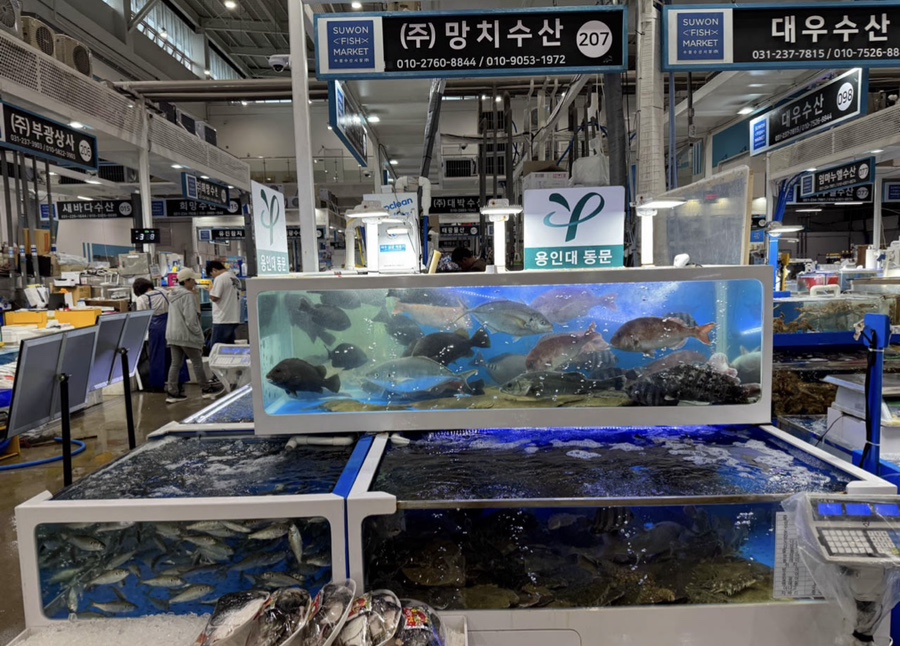 오늘도매횟집 이미지