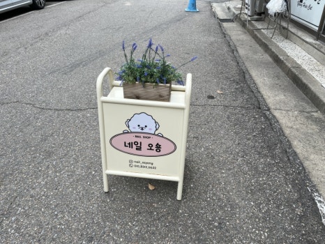네일오숑 이미지