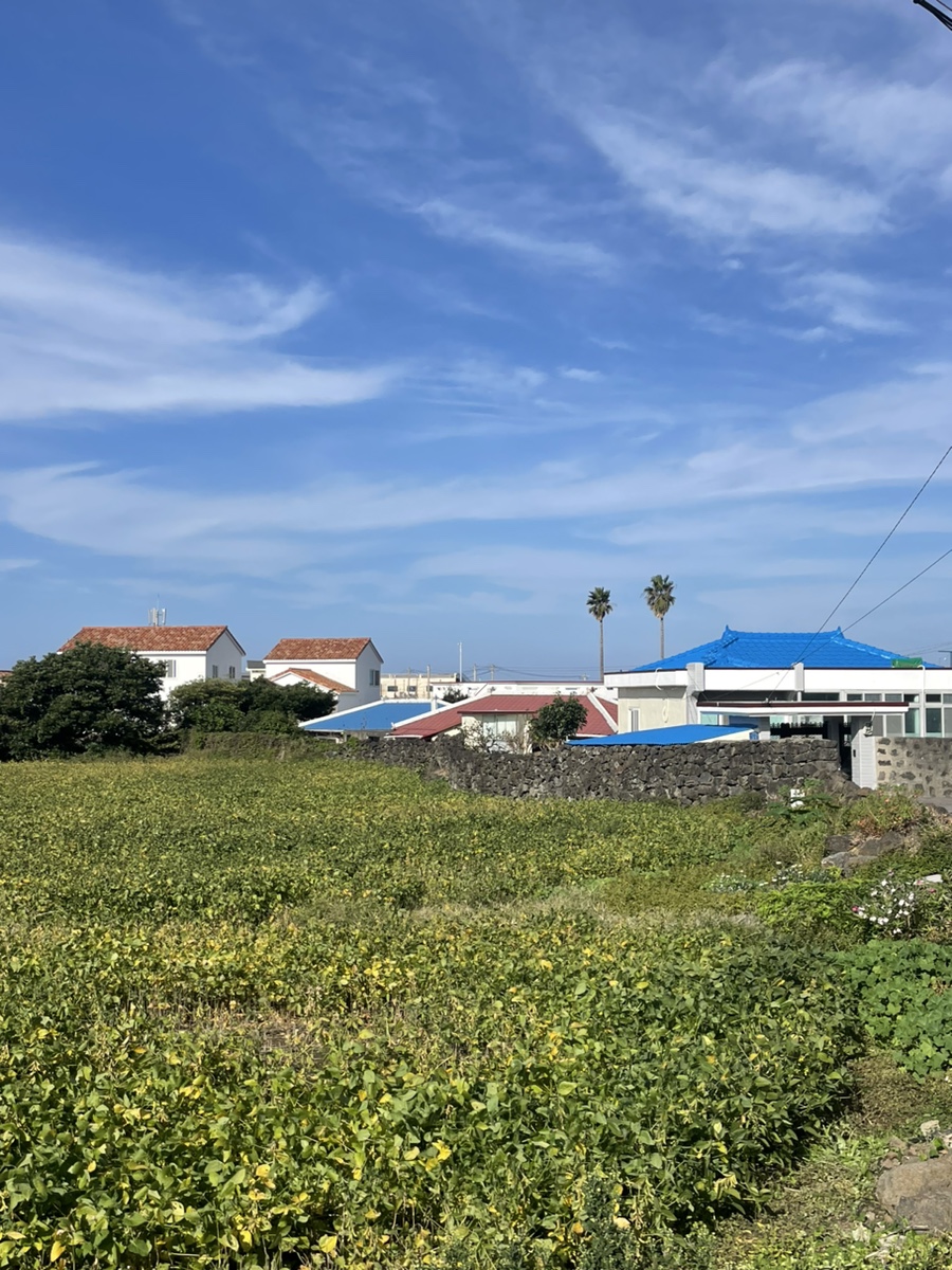 청우가든 사진 7