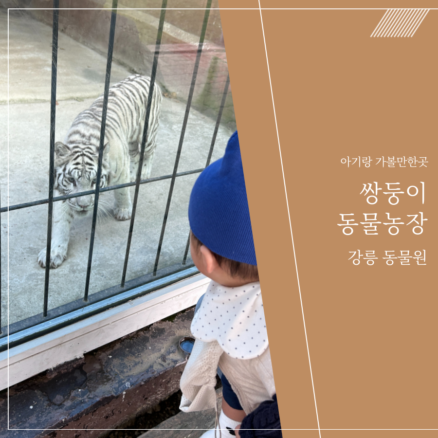 옥계농장 이미지