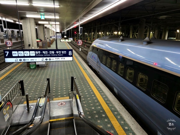 단양 한우 황소자리 이미지