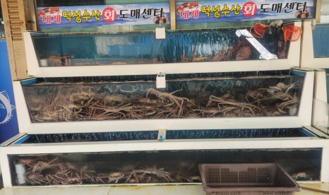 덕성수산 이미지