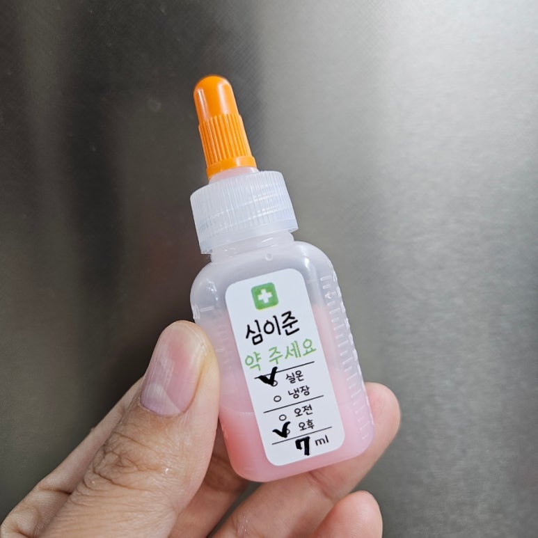 이아네 이미지