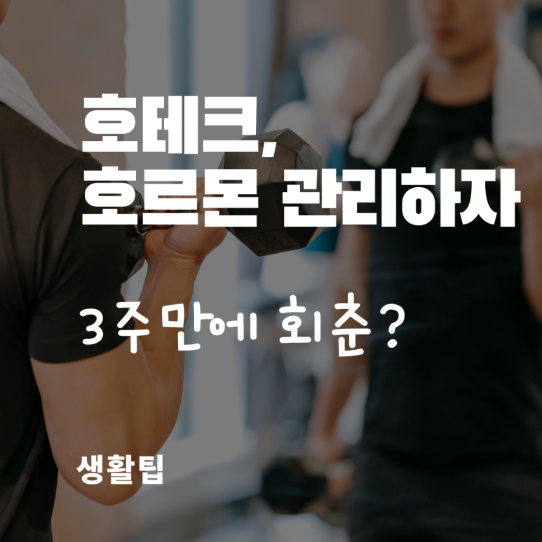 호테크 이미지