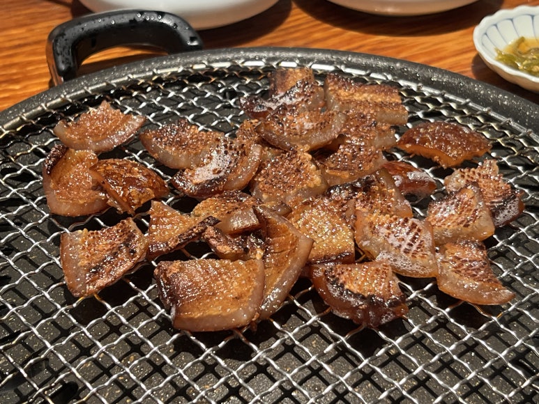 축제하는날 이미지