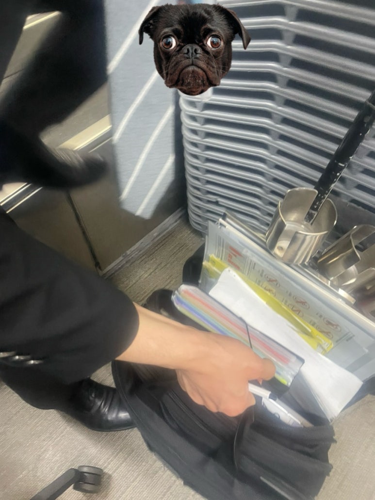영타코 이미지