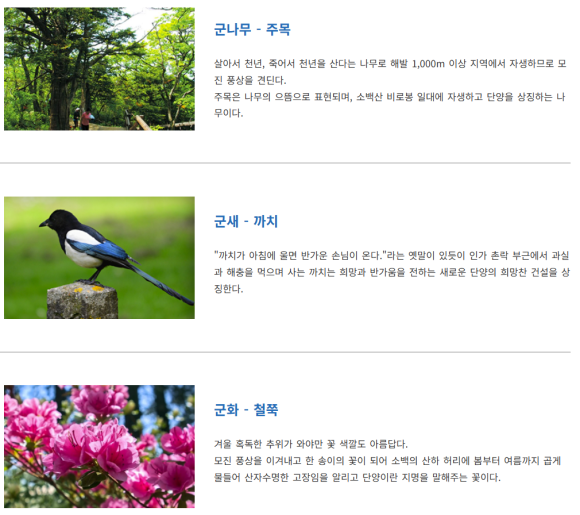 단양 한우 황소자리 이미지