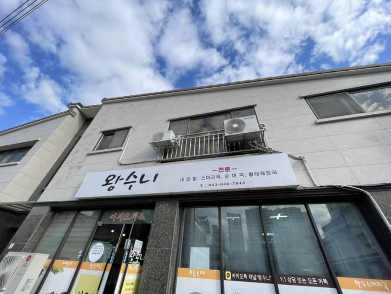 왕수니 이미지